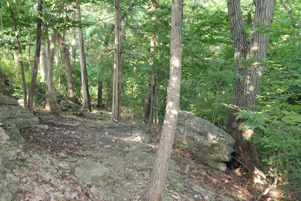 Common Areas Brookridge Estates